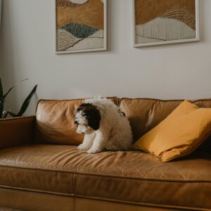 Rustic Dunes - Abstract Painting for Living Room